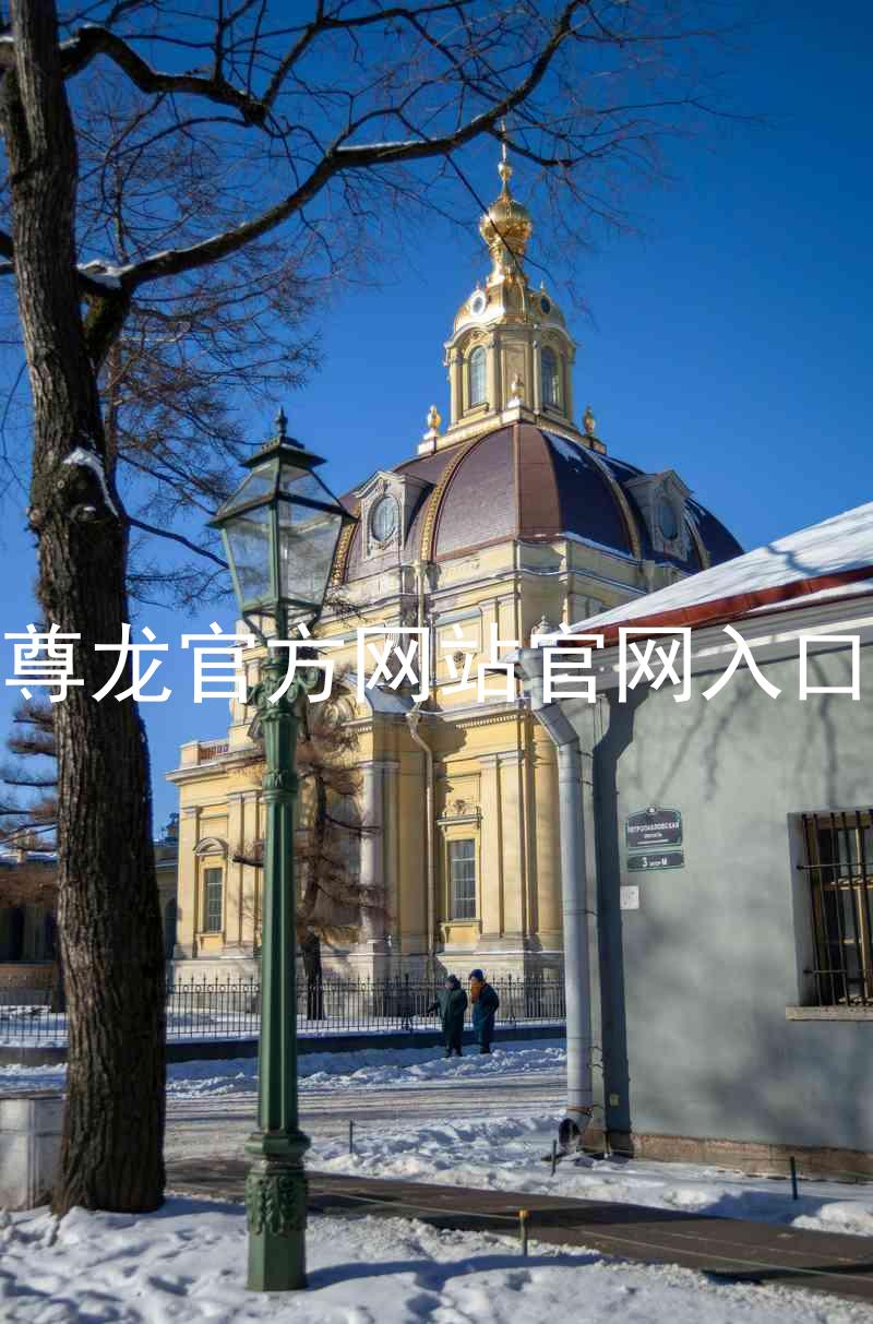 尊龙官方网站官网入口