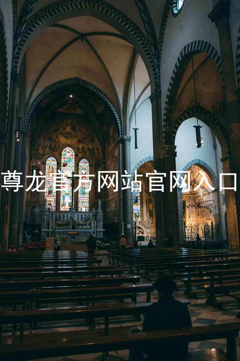 尊龙官方网站官网入口