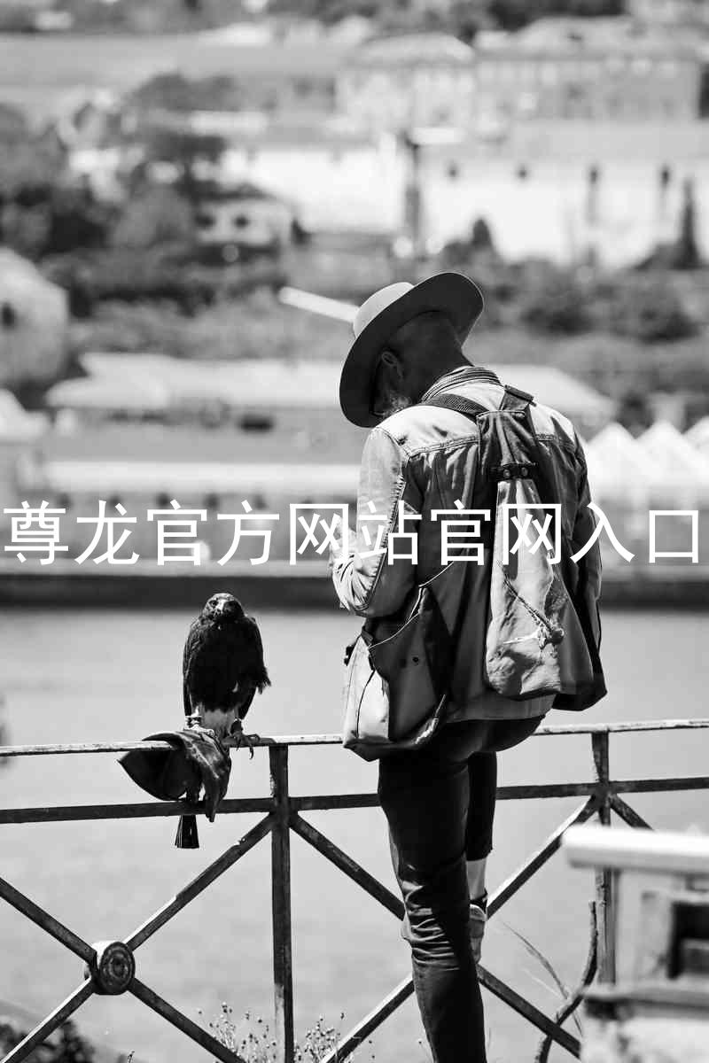 尊龙官方网站官网入口