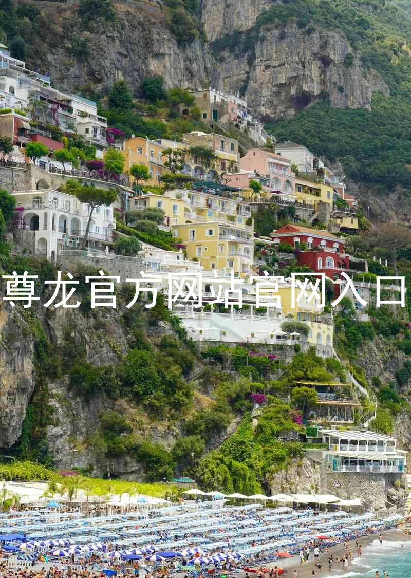 尊龙官方网站官网入口